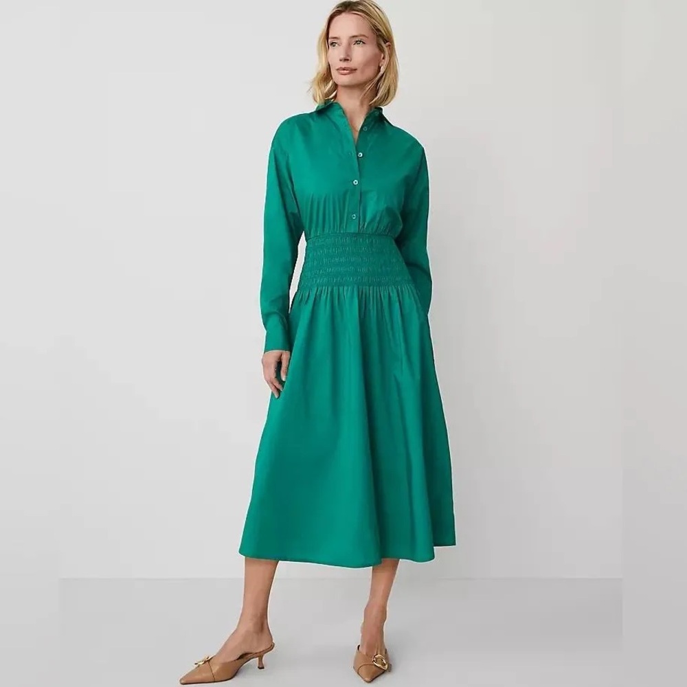 Ann Taylor Size 16 Flare Midi Shirtdress in Green Shady Glade